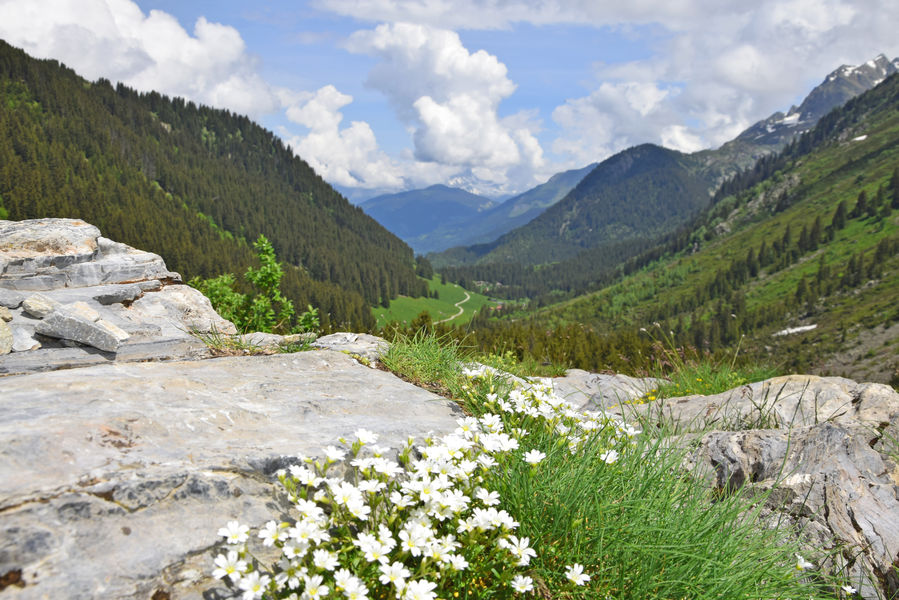 La Rollaz, sur l'itinéraire du col du Bonhomme