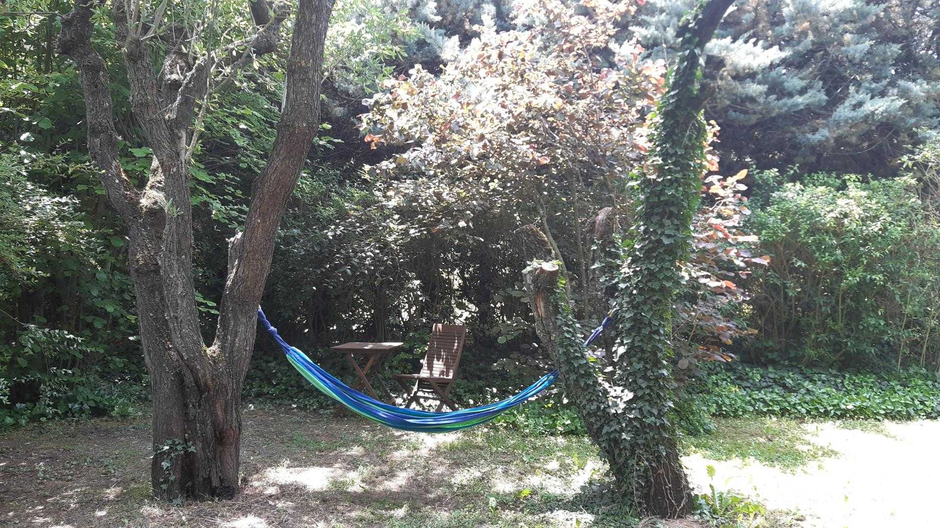 Mas de l'Avani, Plan-d'Orgon - photo 37