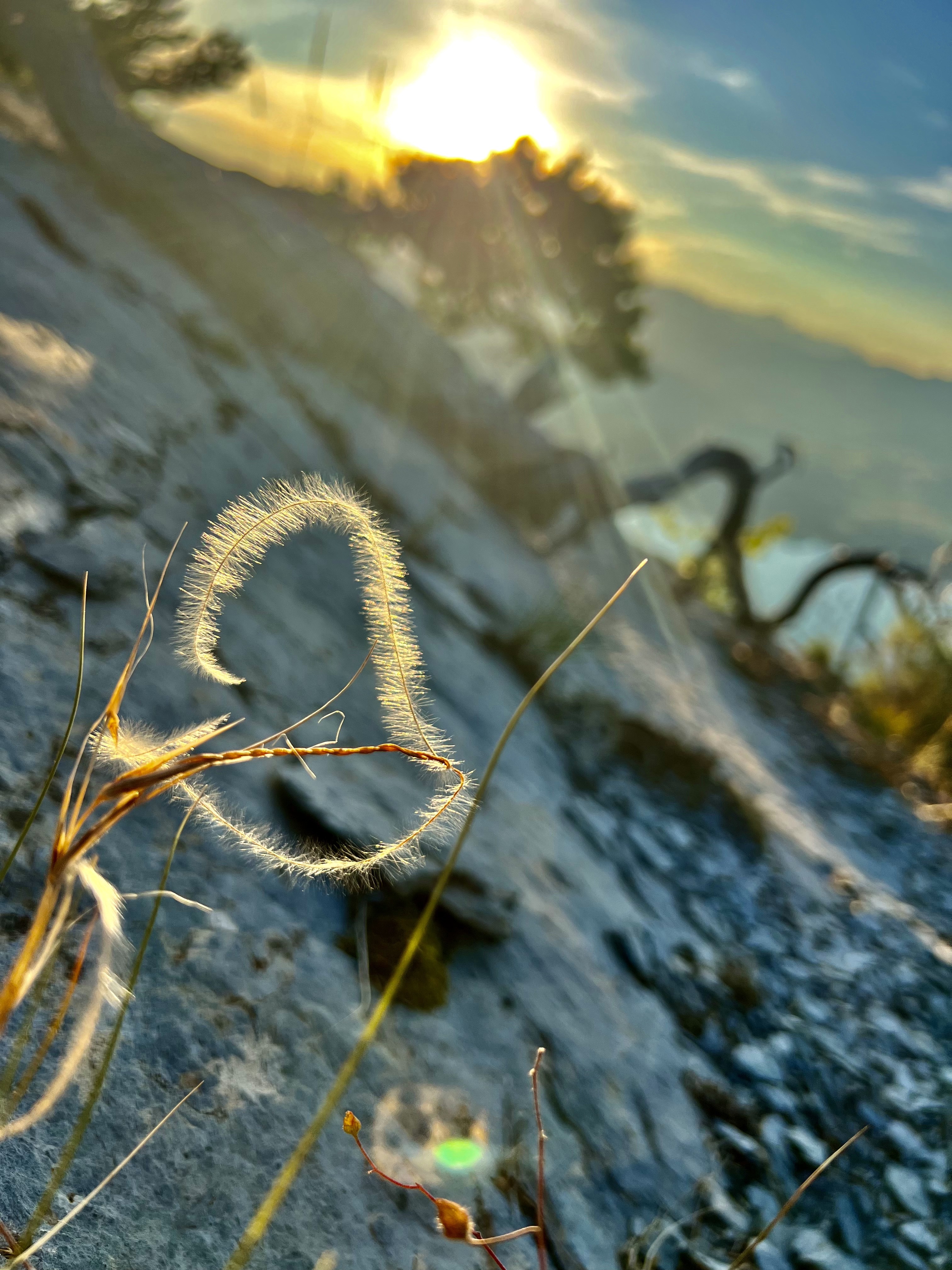 Nature Xplore CROTS