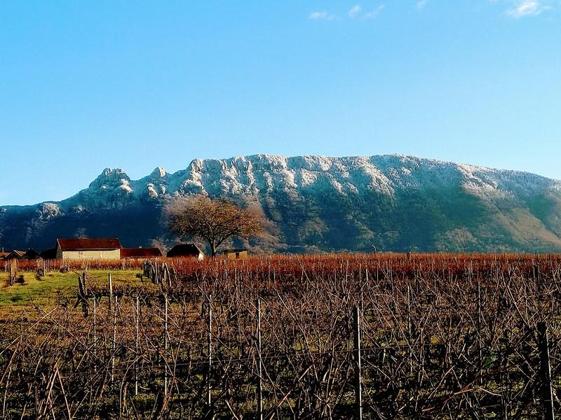 Caveau de la Bertinière