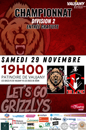 Match de Hockey D2 "Les Grizzlys de Vaujany" VS "Les Ducs de Dijon"