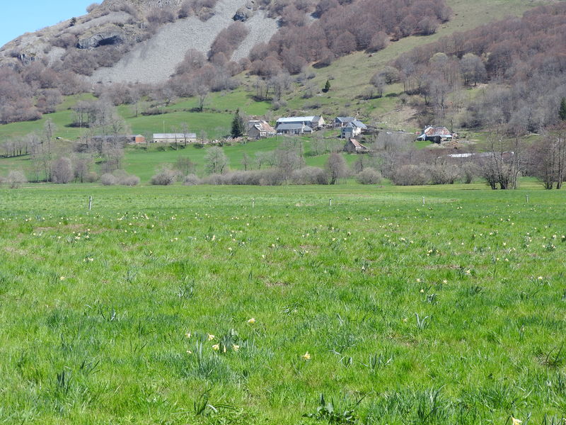 Tour Col de Serre – Puy de Niermont
