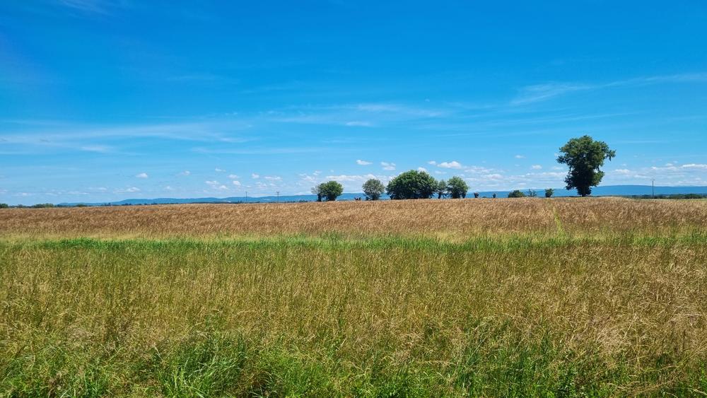 Circuit VTT-VTC n°13 (rouge)  - Les chemins de St Jean_Montrevel-en-Bresse