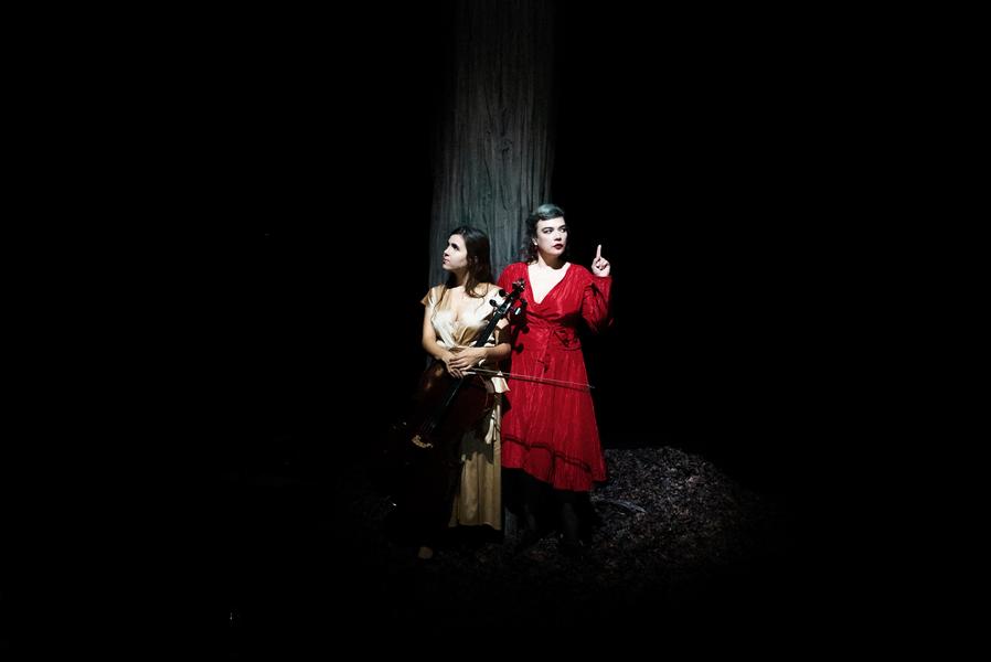 Birds On A Wire (folk, musiques du monde) - ÀLAFOLIE !_Bourg-en-Bresse