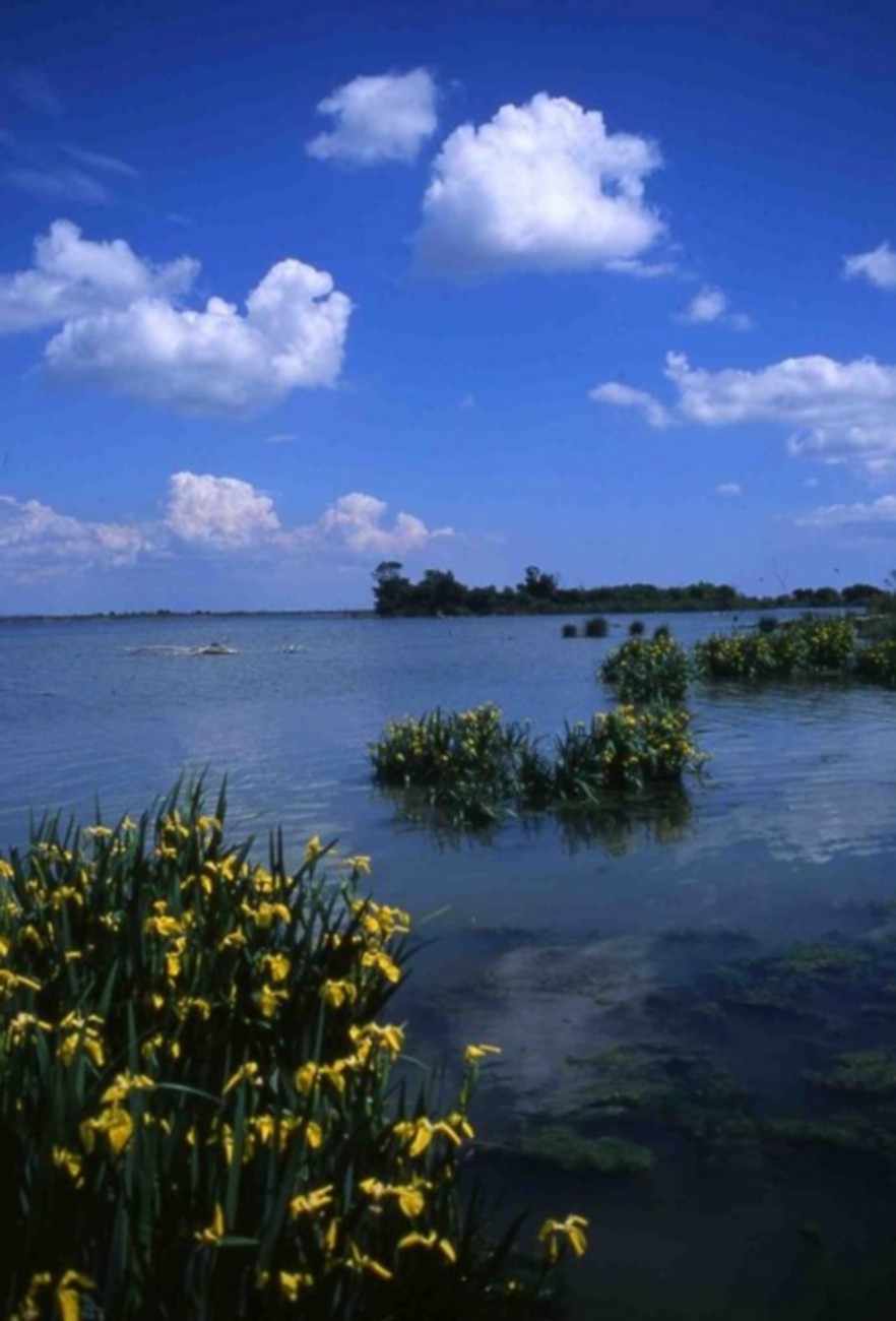 Fête de la nature 2025 : Visite guidée au domaine de la Palissade