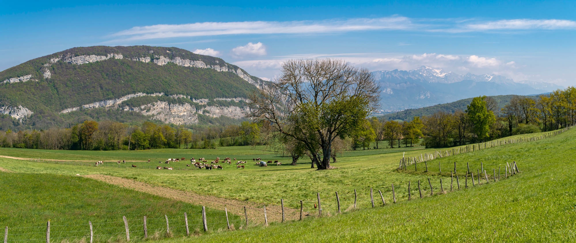 A27Mandallaz1707 - © Savoie Mont Blanc - Lansard