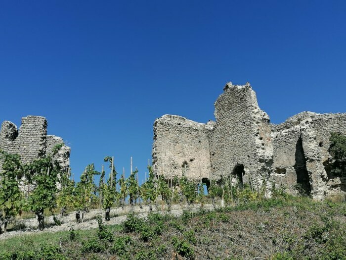 Ruines du château de Larnage