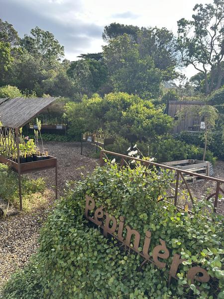 La pépinière du Domaine du Rayol_Rayol-Canadel sur Mer