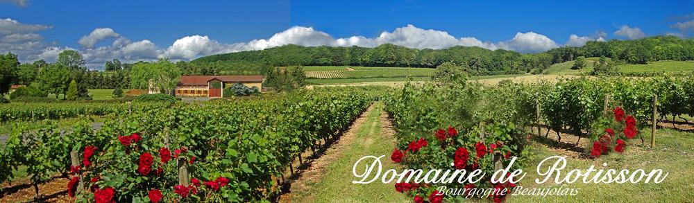 Rotisson wine estate