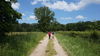 Chemin des Tartarins Ⓒ Allier Bourbonnais Attractivité