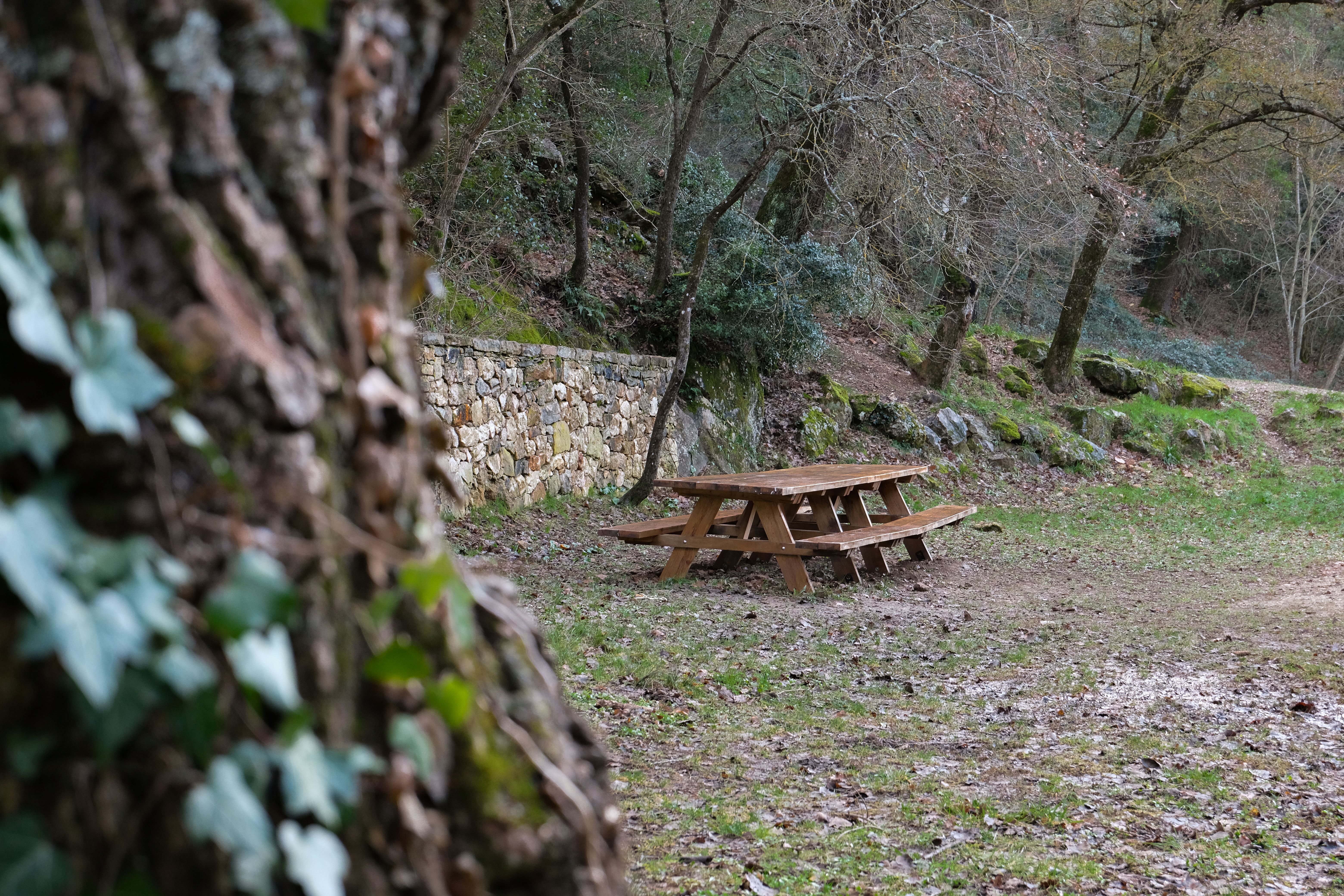 Les Sources des Nayes