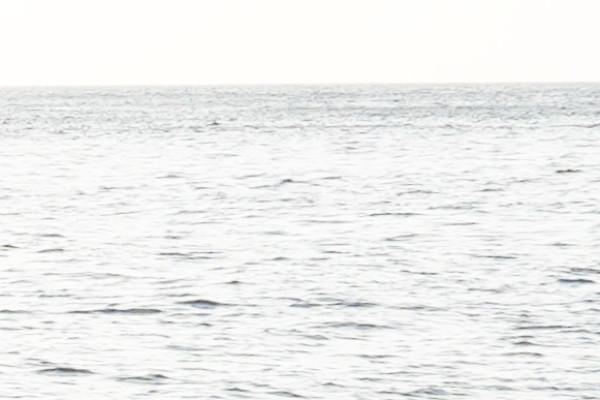 Catamaran à voile dans les îles du Frioul. Départ Mucem