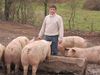 La ferme à Croutet Benoit au milieu de ses Porcs Ⓒ La ferme à Croutet