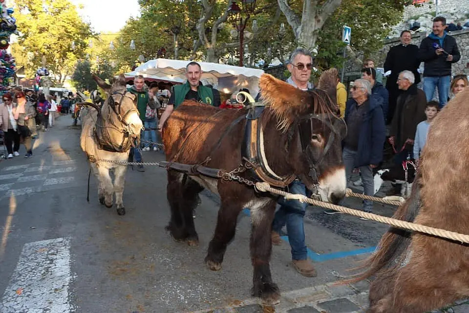 Excursion - Fête de l'âne Allauch