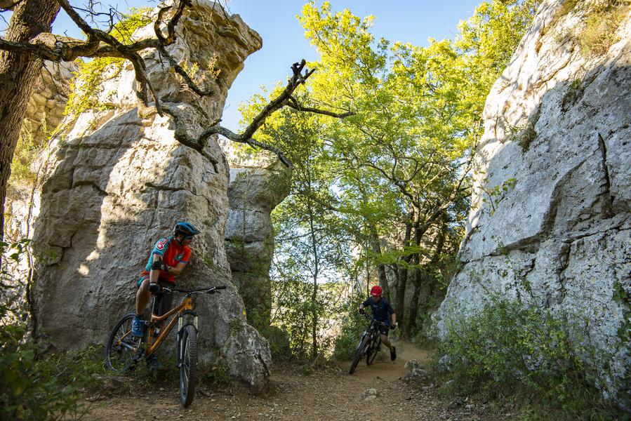 Outing to discover the Bois de Païolive - Ardèche Vélo