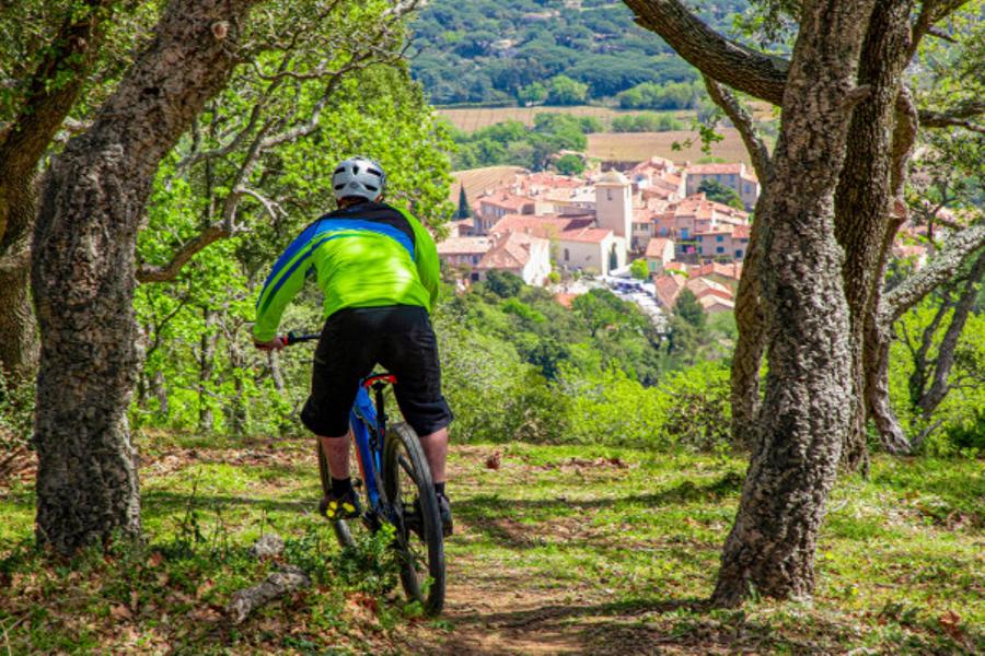 Semi rigid emountain bike rental