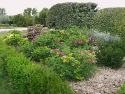 Jardin de Payan, Tarascon - photo 2