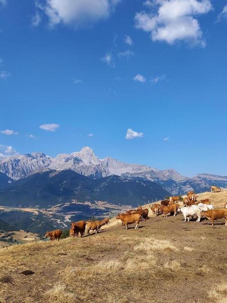 Au-dessus de Corps, vue sur l'Obiou (2789 m)