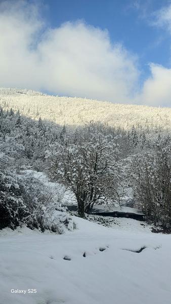 Chambre Romy_Aillon-le-Jeune