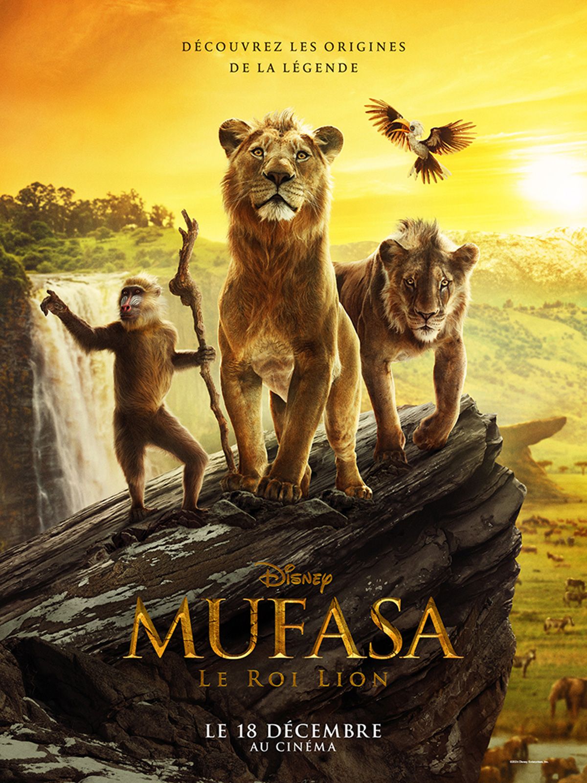 Rendez-vous futés ! : Projection cinéma du film Mufasa : le Roi Lion | ciné-jeunesse