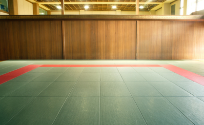 Gymnase, Dojo