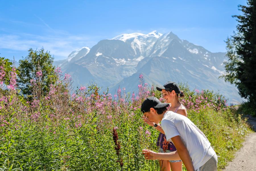Le Mont d'Arbois au départ du Bettex