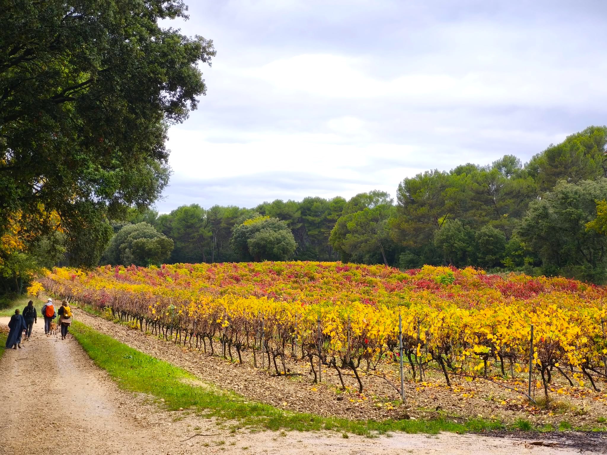 Randonnée de la Courge, Rognes - photo 2