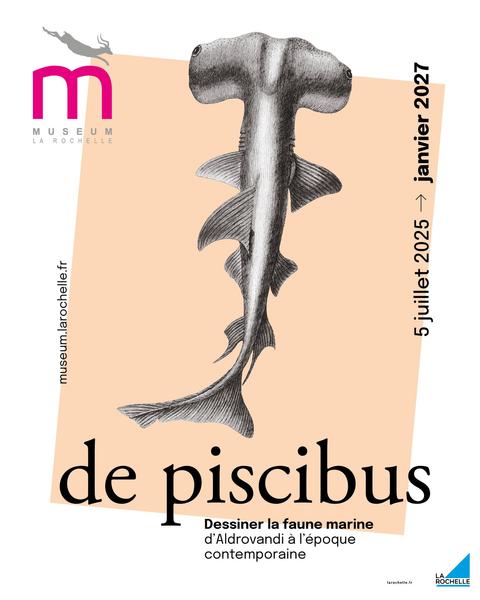 Exposition - De piscibus - Dessiner la faune marine de Aldrovandi à l'époque contemporaine