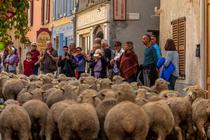 Revendran Fête de la Transhumance à Colmars