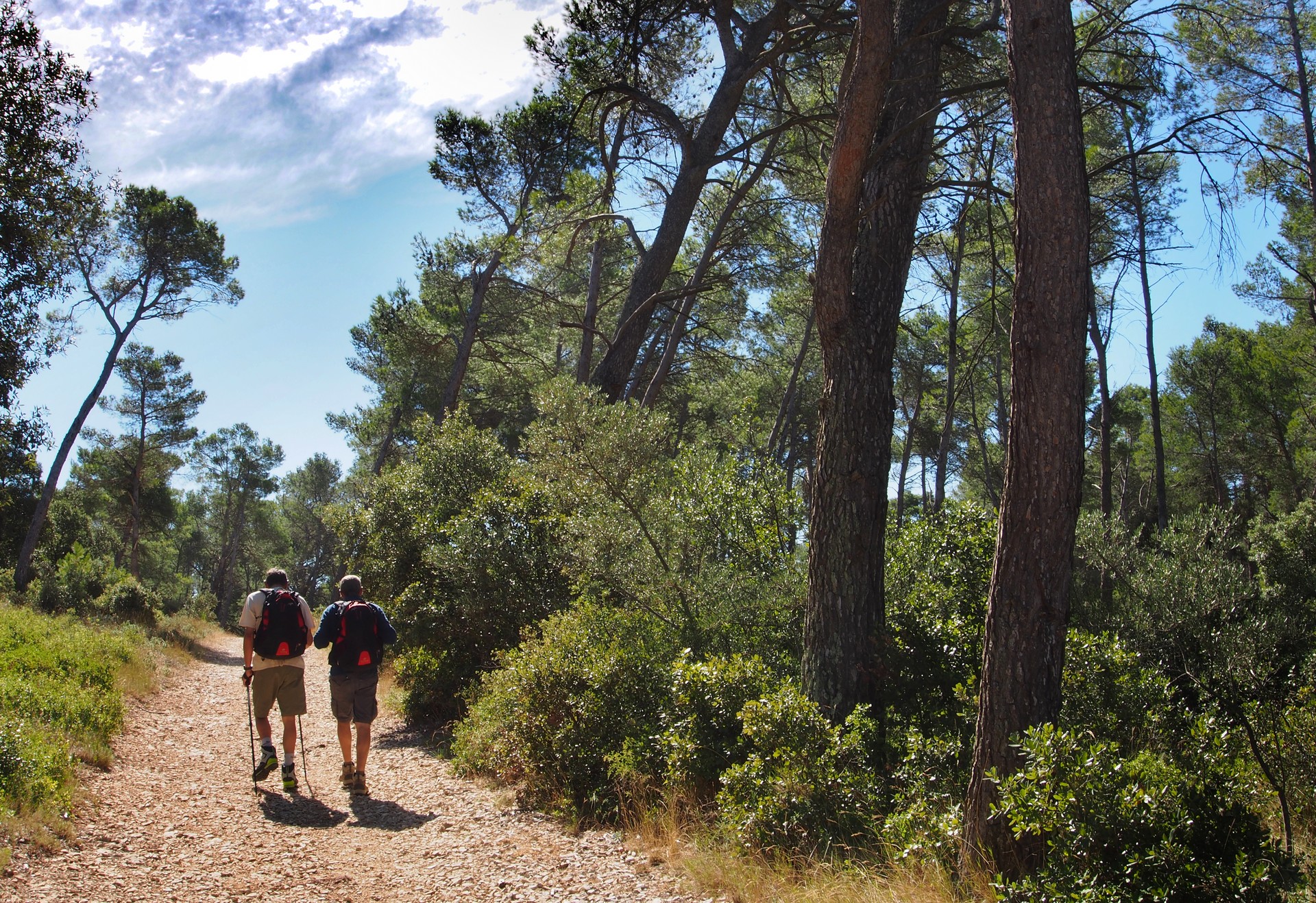 Les Crottes d'Aubert, Fontvieille - photo 2