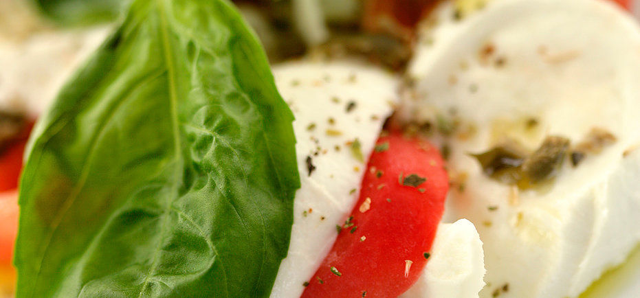 Restaurant le Candi - Roissiat