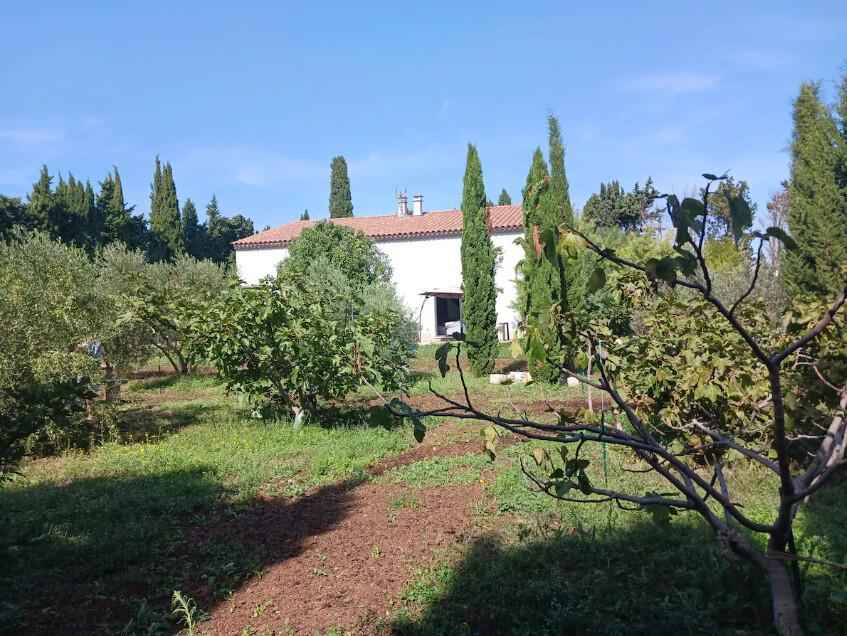 Gîte Alpilles, Saint-Martin-de-Crau - photo 5