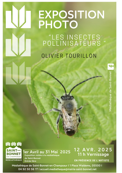 Exposition Les insectes pollinisateurs_Saint-Bonnet-en-Champsaur - © Olivier Tourillon Exposition Les insectes pollinisateurs_Saint-Bonnet-en-Champsaur - © Olivier Tourillon