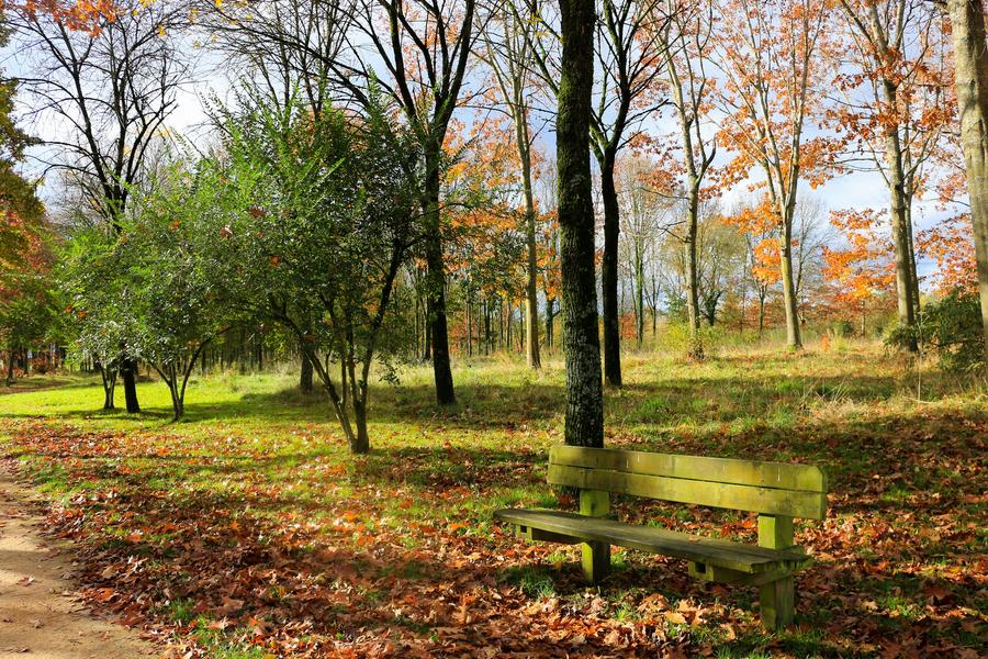 Arboretum de Chatillon-sur-Chalaronne