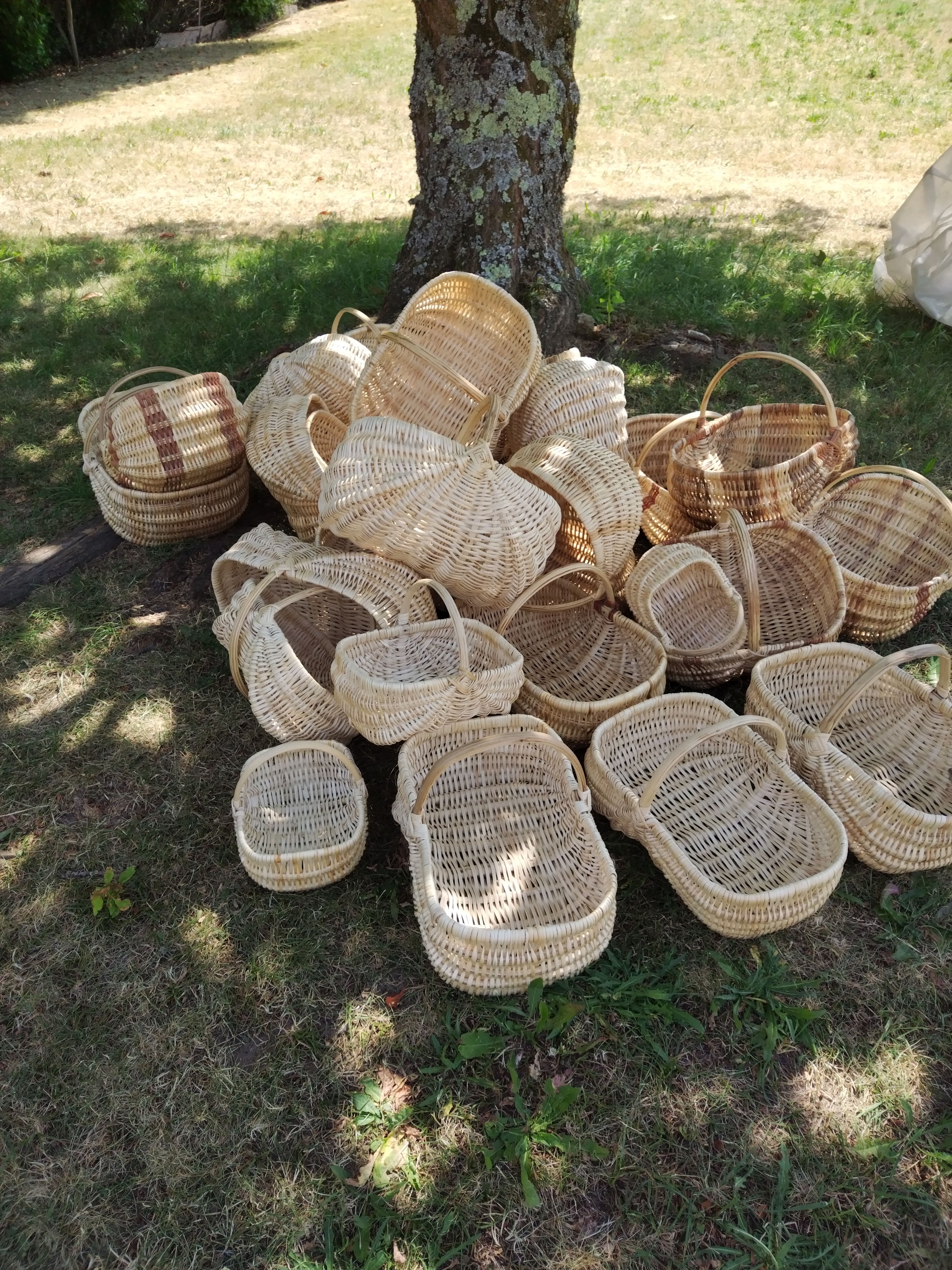 Paniers sous l'arbre