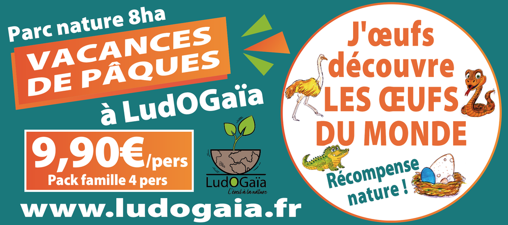 Chasse aux œufs avec énigmes au parc LudOGaïa : 