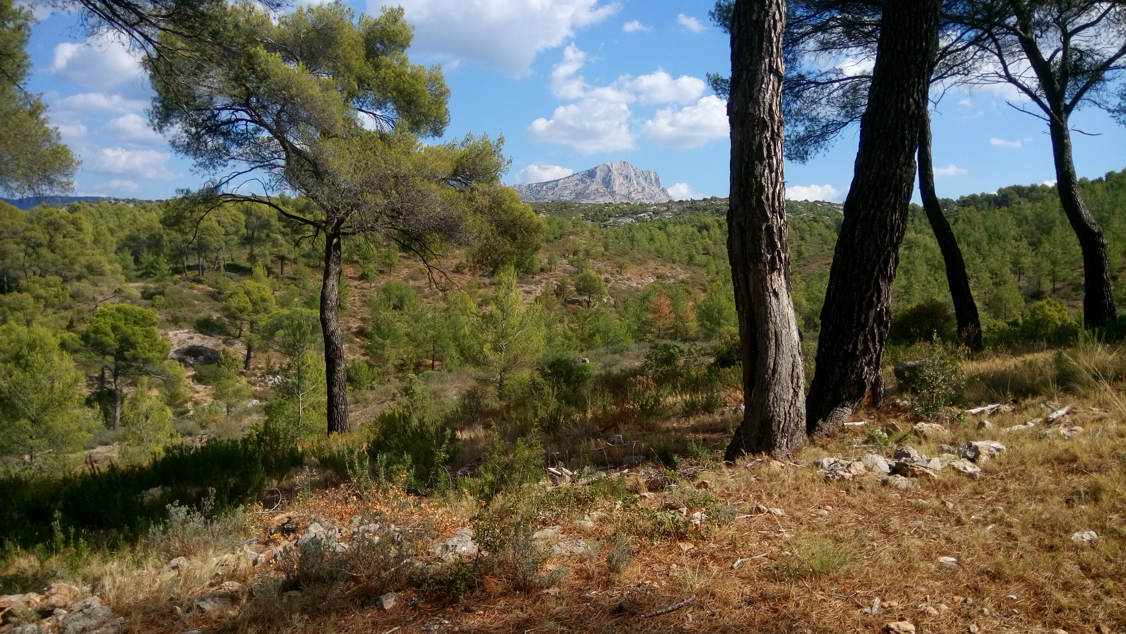 Grand Site Concors Sainte-Victoire — photo 2