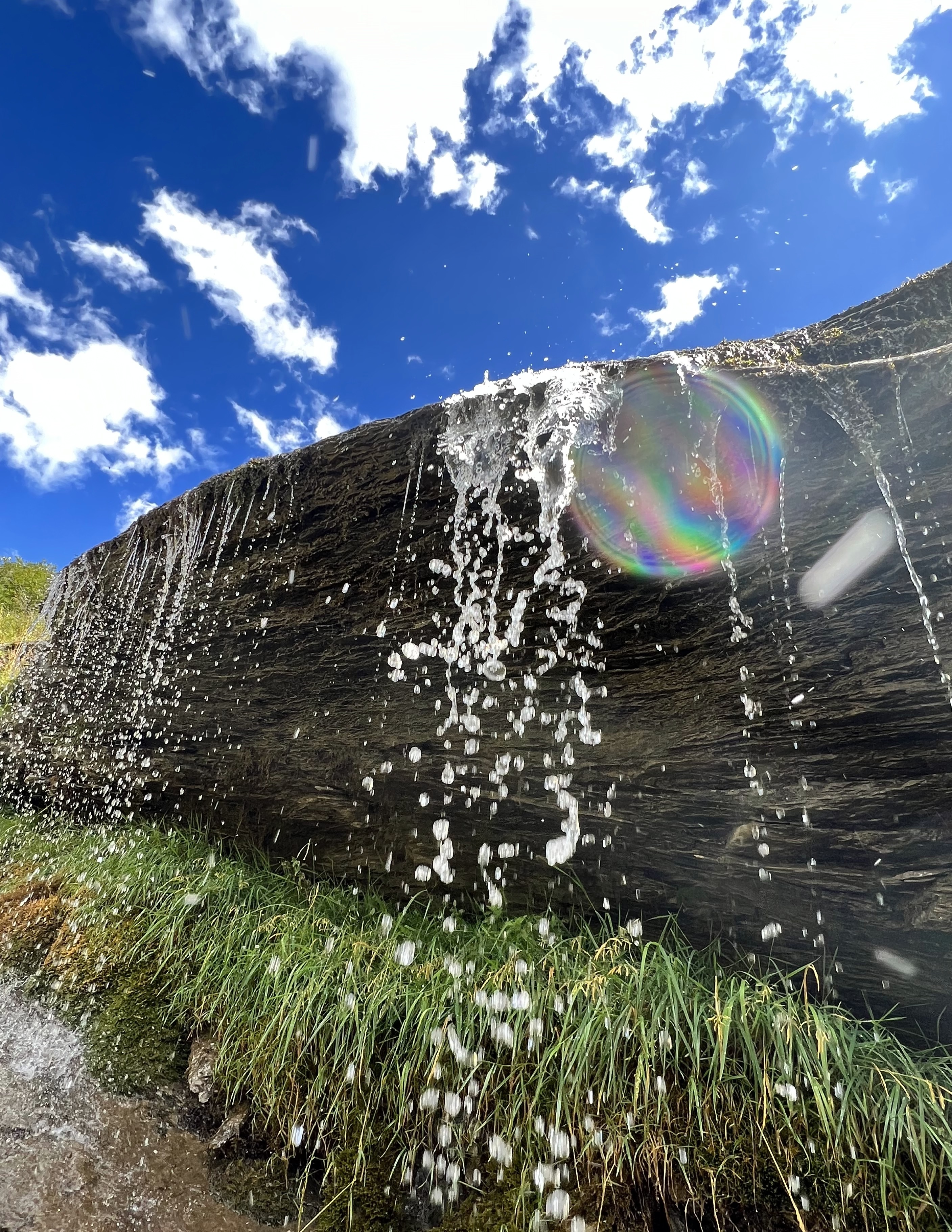 Nature Xplore CROTS