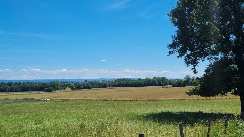 Circuit VTT-VTC n°13 (rouge)  - Les chemins de St Jean_Montrevel-en-Bresse