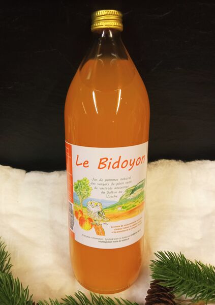 Le Bidoyon
