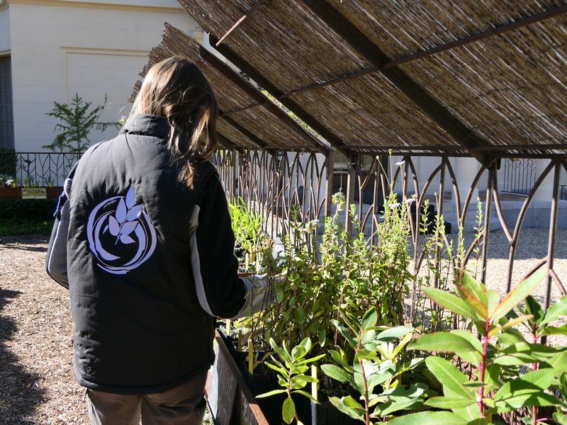 La pépinière du Domaine du Rayol_Rayol-Canadel sur Mer