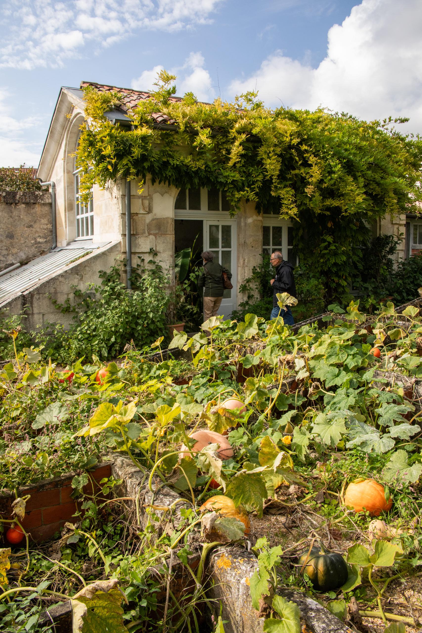 Rendez-vous aux jardins : Le potager du Roy