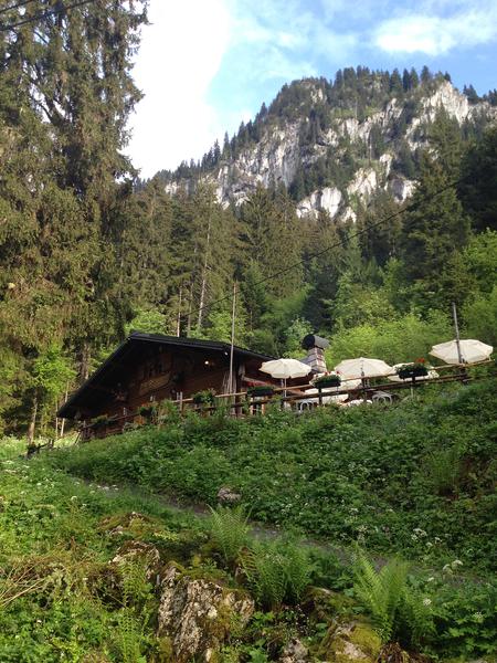 Restaurant vue Dent d'Oche