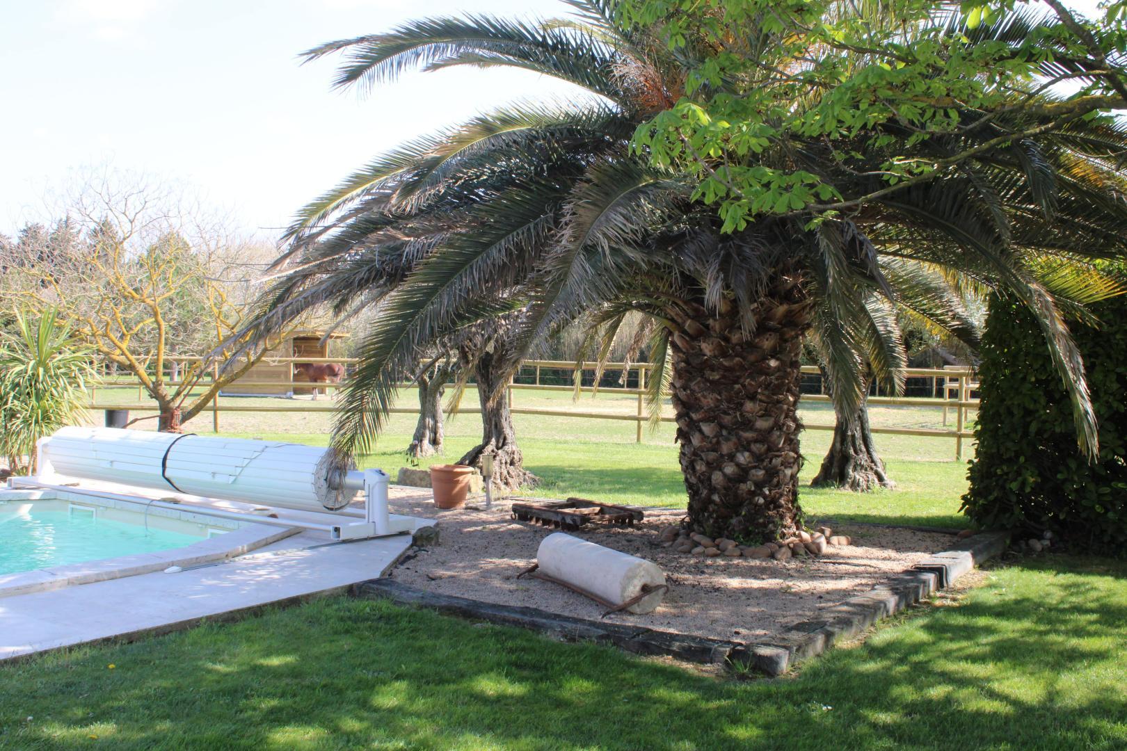 Le Mas des Fontaines, Châteaurenard - photo 17