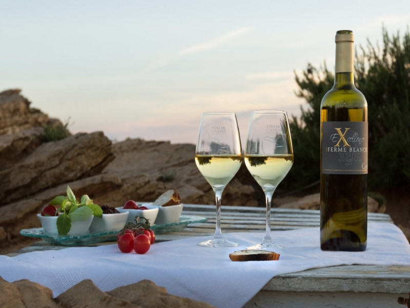 Domaine de la Ferme Blanche - photo 4