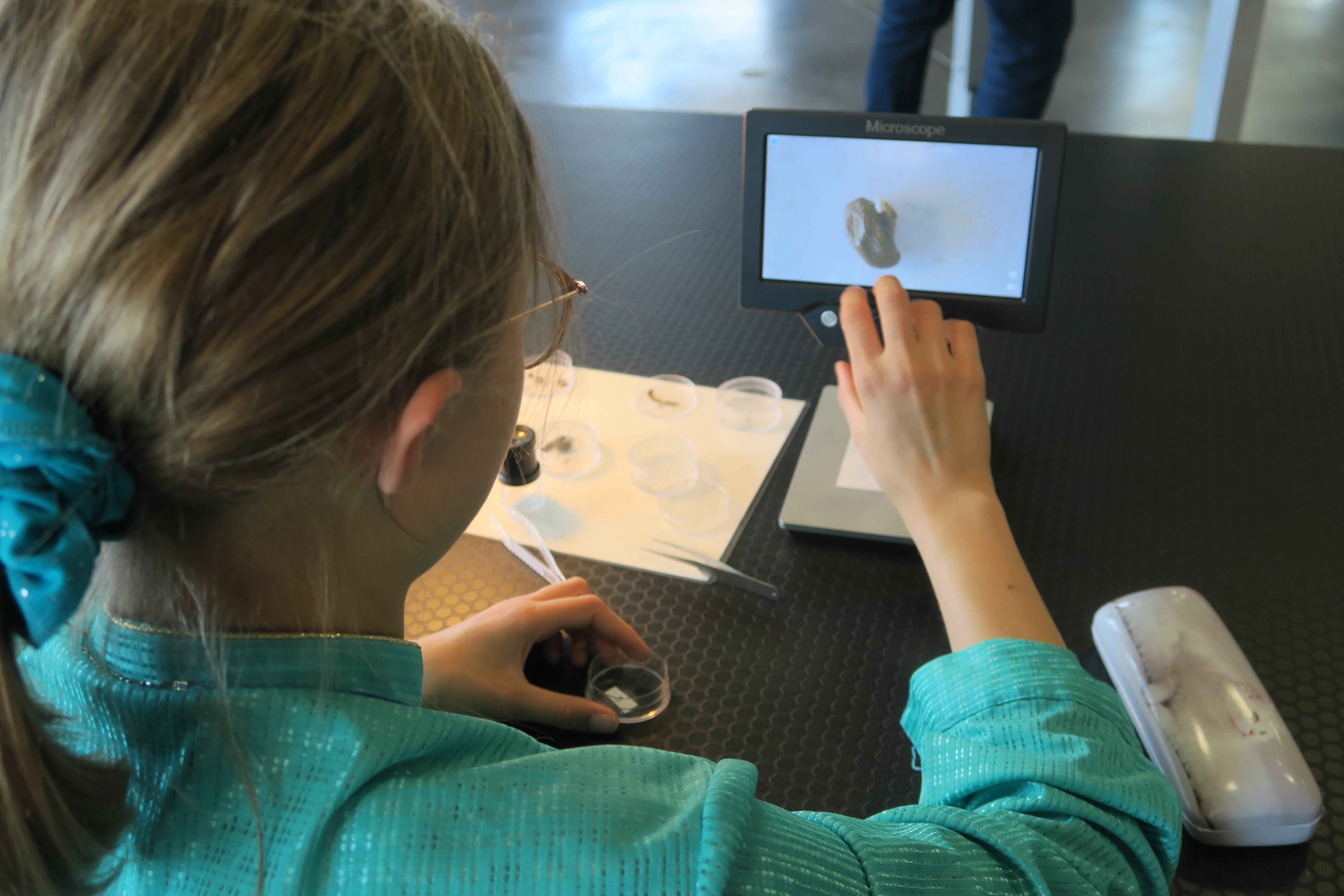 Une enfant observant des graines au microscope