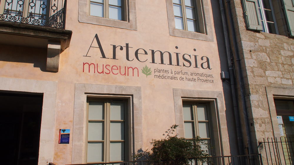 Artemisia Museum