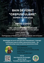 Bain de forêt "Crépusculaire"_Renaison