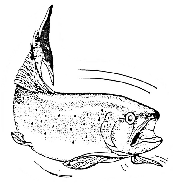Image illustrative