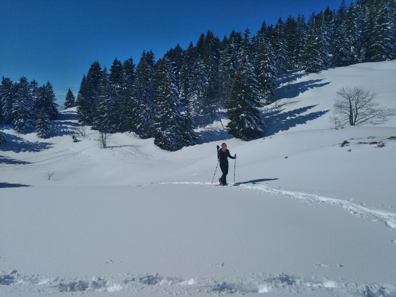 Randonnée raquettes